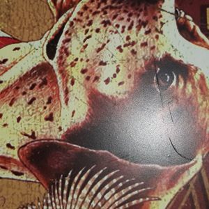 Meet your Posher, Steven